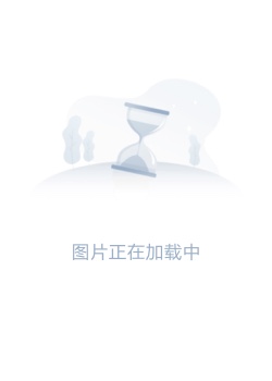 摇滚乃是淑女的爱好
